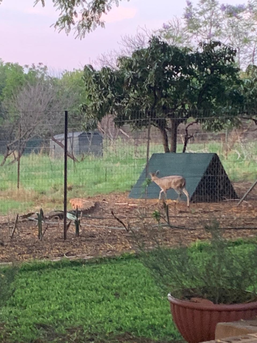 3 Bedroom Property for Sale in Rustenburg Rural North West